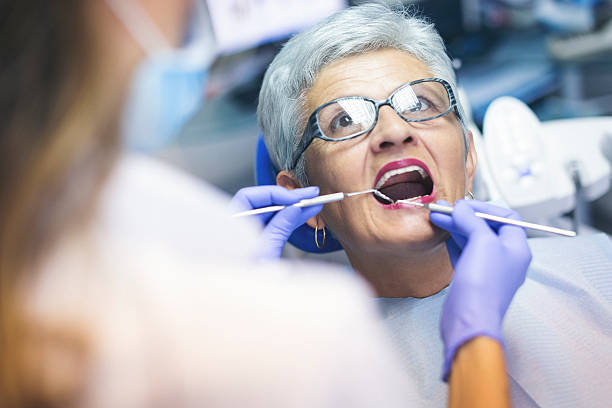 Trusted Youngsville, NC Holistic Dental Care Services Experts